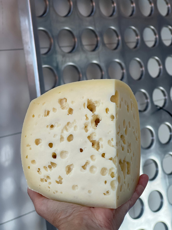 Queijo Suíço